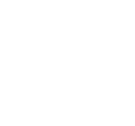 AI Safety